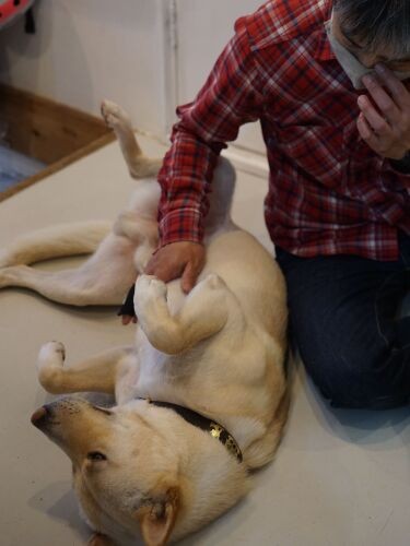 教室の玄関前で、ごろーん