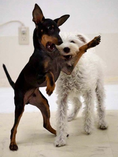 負けないぞー！（提供：ＵＧ）