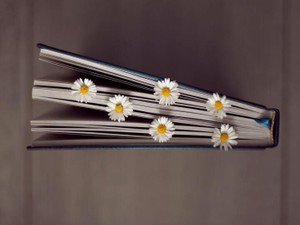 お客さんからもらった本に描かれていたのは、人生を楽しむ主人公