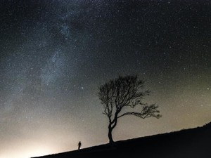 自宅待機の日々で崩した体調。趣味を探して「創作」に出会えた