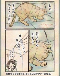 【漫画】『今日もネコ様の圧が強い』17　©Uguisu Utako
