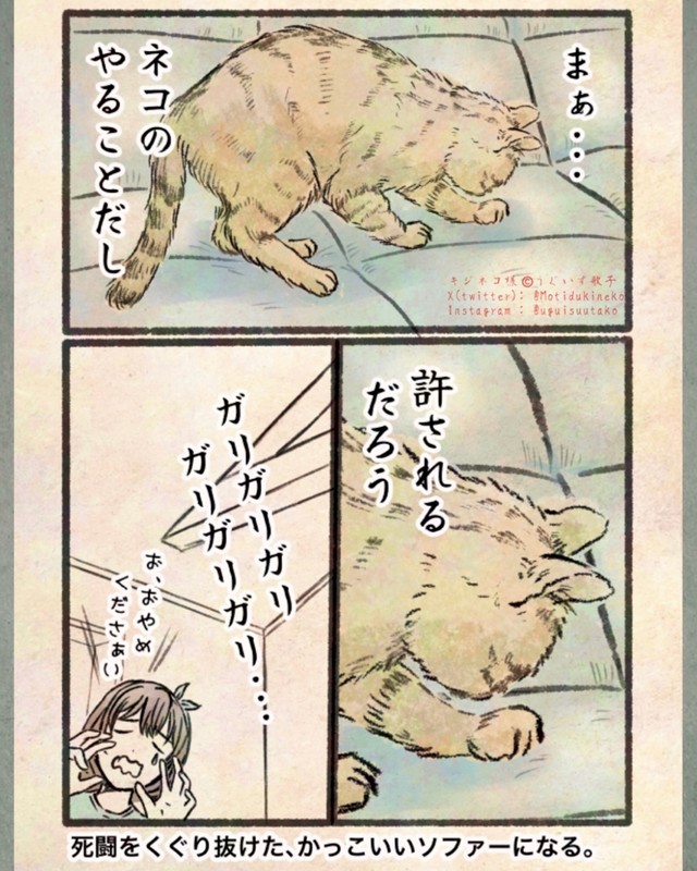 【漫画】『今日もネコ様の圧が強い』17　©Uguisu Utako