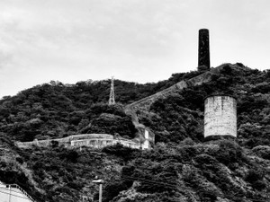 【茨城編】農村も工場も、神は細部に宿る　文芸評論家・斎藤美奈子 