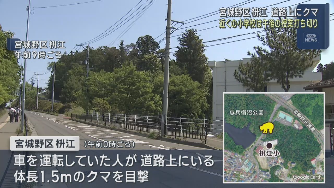 小学校近くでクマの目撃情報　午後の授業を打ち切り　仙台・宮城野区