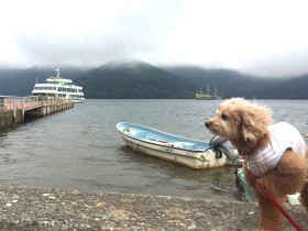 ワンコに優しい箱根へ愛犬と旅行　ロープウェイに白鳥ボートに