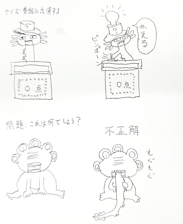 お父さんが描く！ クイズ番組に出演するウーパールーパー（画像提供：サブッパさん）