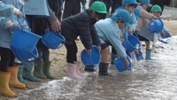 「バイバイ！元気でね」園児がヒラメの稚魚約2500匹を放流　香川・小豆島