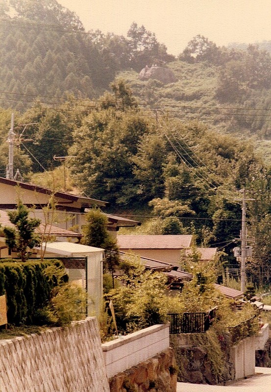電柱から伸びた電線の延長上に露出した「益田岩船」が見える（1976年撮影／提供：地元有志）