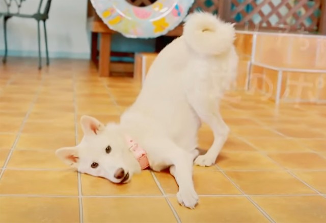 嬉しいときにジュリアがする謎のポーズ