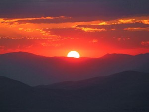 食べるだけで特別な日に変わるお好み焼きは、愛情が詰まった家族の味