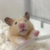 「寝起き後にトイレに手をついてストレッチ」（提供：Chira/Taki (ちらたき)さん）