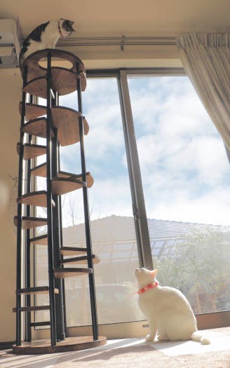 唯一の女子・ピーチ（上）はらせん階段風タワーがお気に入り