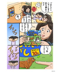 【漫画】『caleldわんわん』2（シーズーマンガ「あうんのてんぽ」作者さん提供）