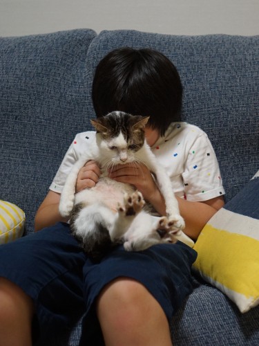 「君にめろめろ」「なら恩返しだ」