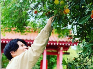 島根で‟孫ターン”社員がビール造りに奮闘中　「温泉津ビール」は町の名物に