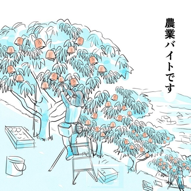 農業バイトデビュー（皆生桜子さん提供）