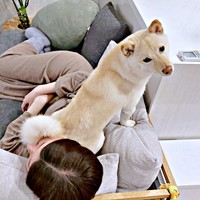 ママの上にのって甘えるうるちゃん（画像提供：うるちゃんさん）