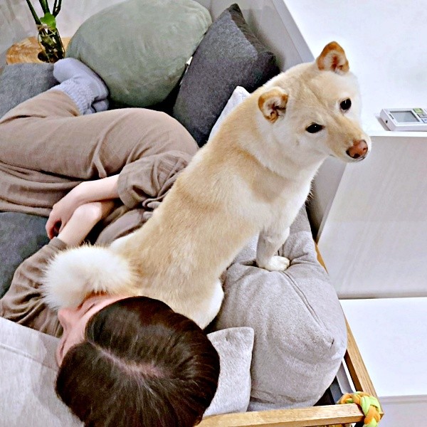 ママの上にのって甘えるうるちゃん（画像提供：うるちゃんさん）