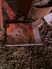 もし、安易な遺棄がなければ…もし、早い段階でSOSが出せる環境があれば…防げたかもしれない（「動物保護団体わんらぶ」さん提供、Instagramよりキャプチャ撮影）