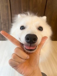 スマホの画像を見て次々とポージングを決めていた、ぽぽくん（提供：ぽぽさん）