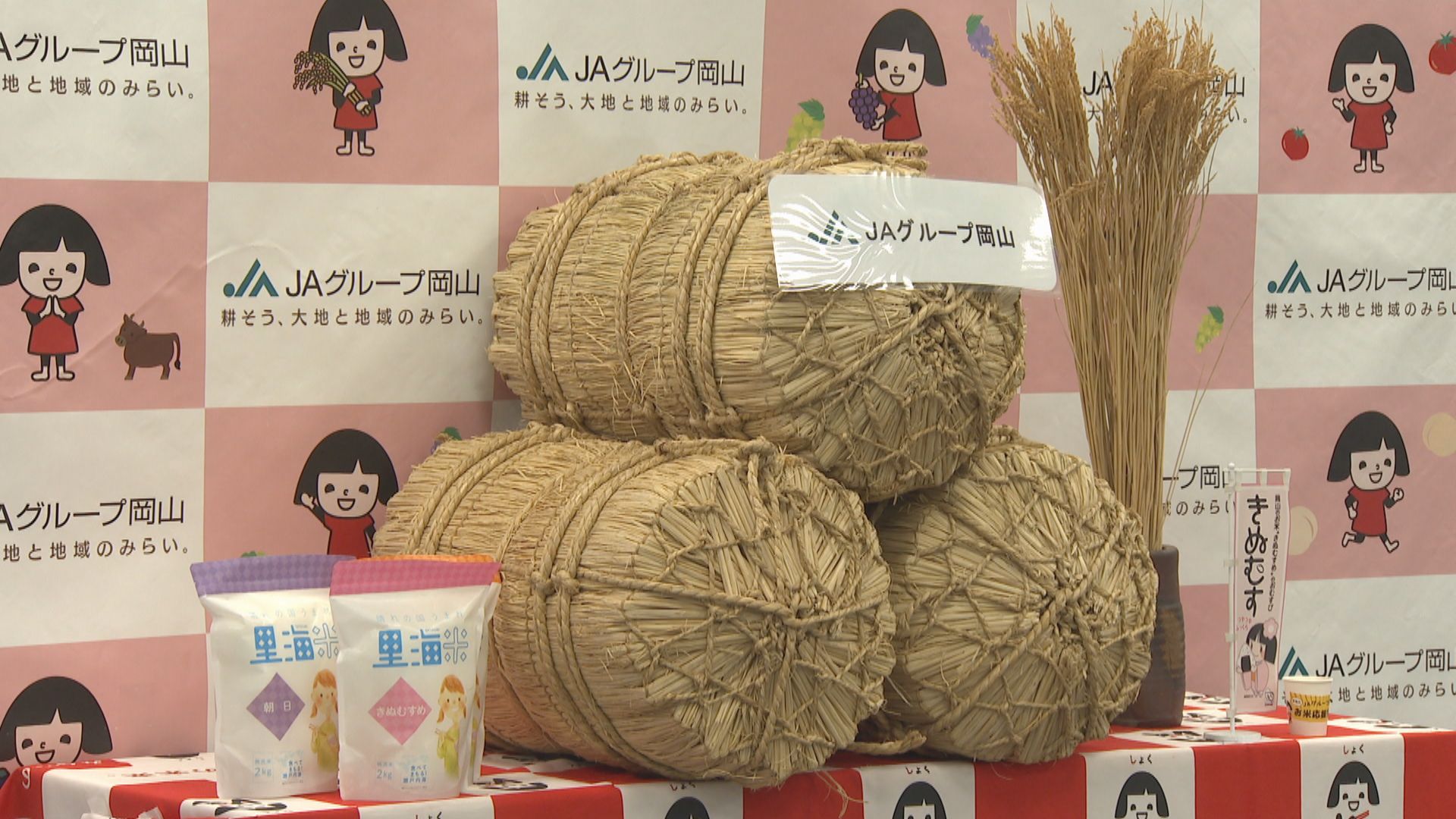 岡山県産米の消費拡大を JAグループ岡山などがPRへ 県産和牛が当たる 