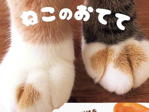 猫の「おてて」だけの写真集　猫好きもここまで来た？！