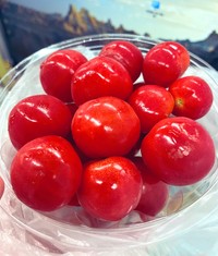 まるでさくらんぼのようなミニトマト／となり街の園田さん（@motokanoirane）提供