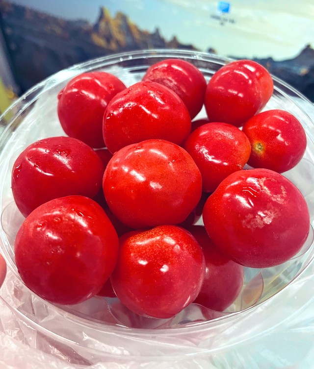 まるでさくらんぼのようなミニトマト／となり街の園田さん（@motokanoirane）提供