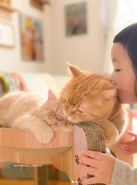 豆蔵（3カ月）・マル（3歳）・ひなたん（1歳）／ひなまるchannelさん（@hinamaru_channel）提供