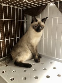 投薬開始から1カ月が経った頃