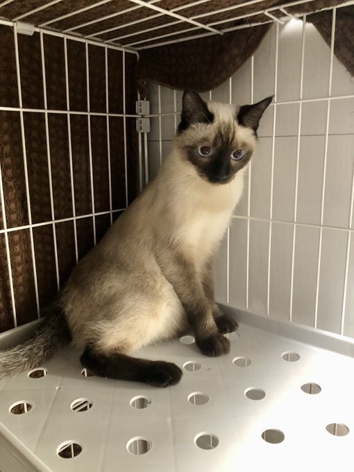 投薬開始から1カ月が経った頃