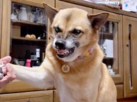 もう片方もーー手を引っ込めることなく受け入れるこなつさん（画像提供：牧田 こなつさん）