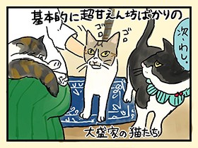 孤高の猫「タラコ」メシで猫格豹変　やっぱ、猫じゃけぇ(43)
