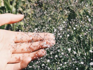 肌にシワができにくい、ハリもある。私の脂肪は天然の保湿クリーム