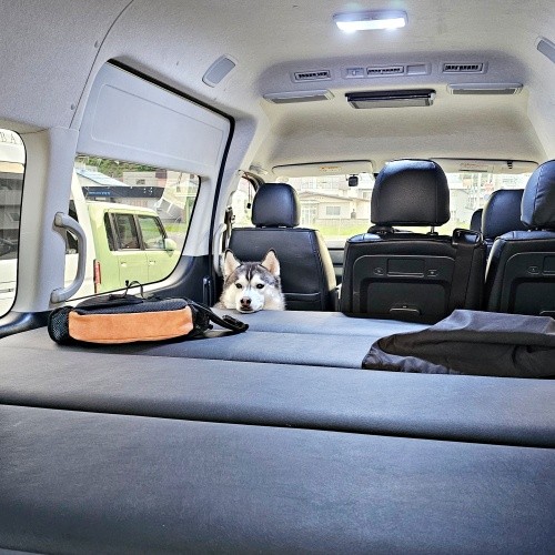 初めて車中泊。寝床を準備する様子を見守るムイちゃん（画像提供：ムイさん）