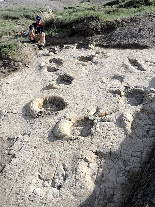 Dinosaur prints push theropod existence further back in Mongolia