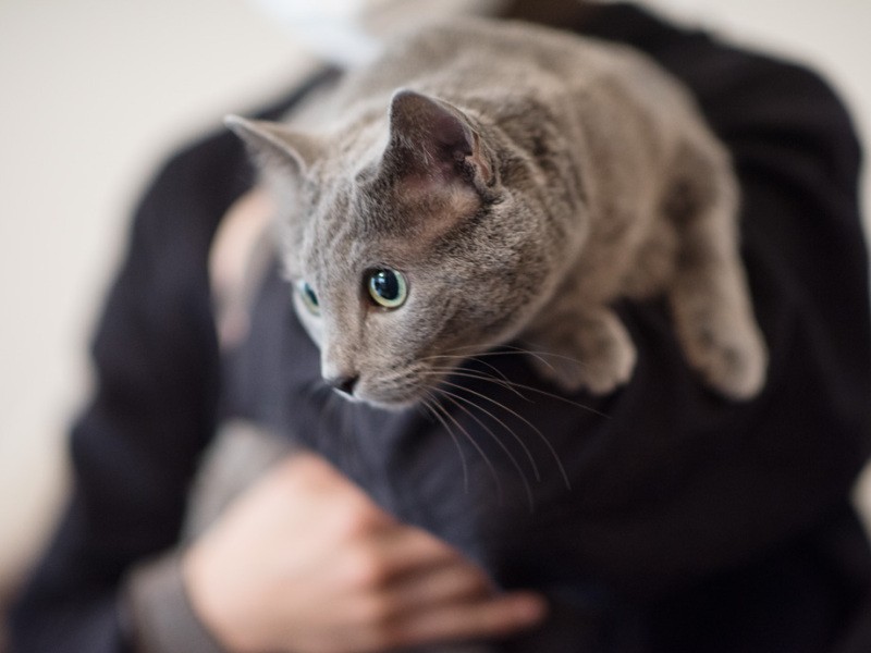 「あのかわいいお菓子箱の中に隠れたいわね」（小林写函撮影）