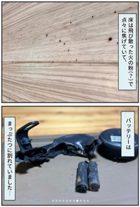 あと1時間遅かったら…。不幸中の幸い／まめねこさん（@ma.me.ne.ko）提供