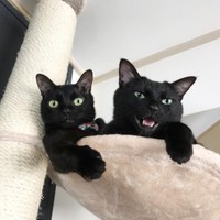 自分らしい幸せを満喫中