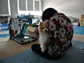 ペットは家族「一緒にいたい」　西日本豪雨で同伴専用の避難所
