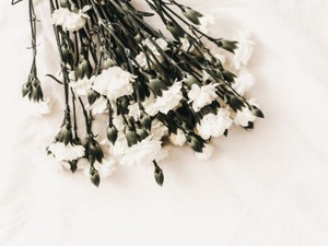 その投稿や追悼番組って誰のため？　死と向き合うことを強制しないで