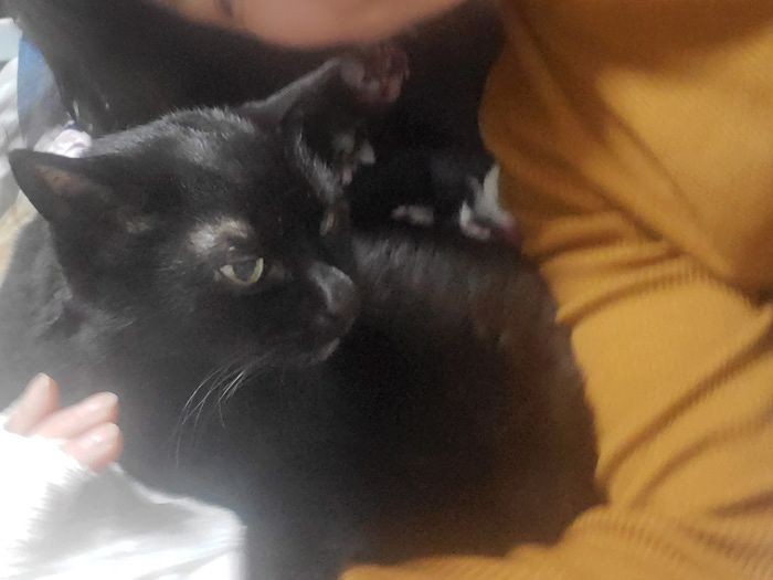 「またおやつちょうだい」赤ちゃん返りみたい