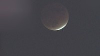 ほぼ皆既月食　11月19日撮影