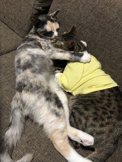 ２匹は最高の相棒