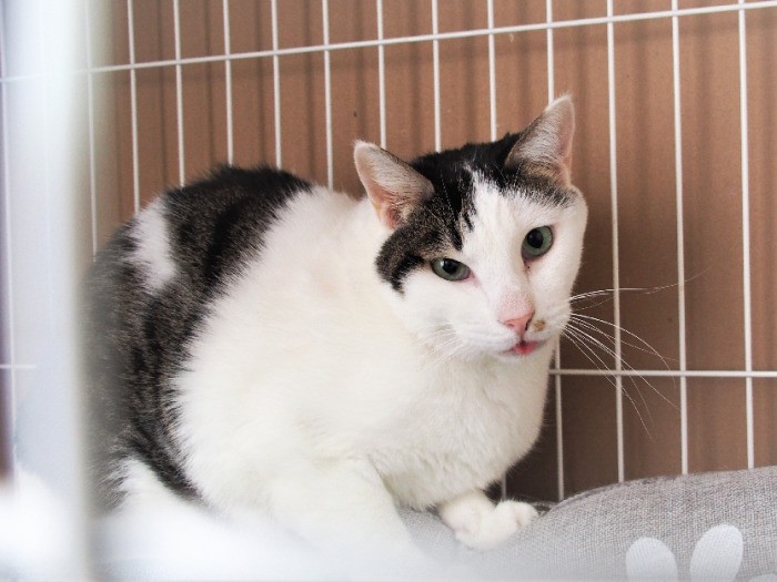 市來さん宅時代。顔つきが和らいだ