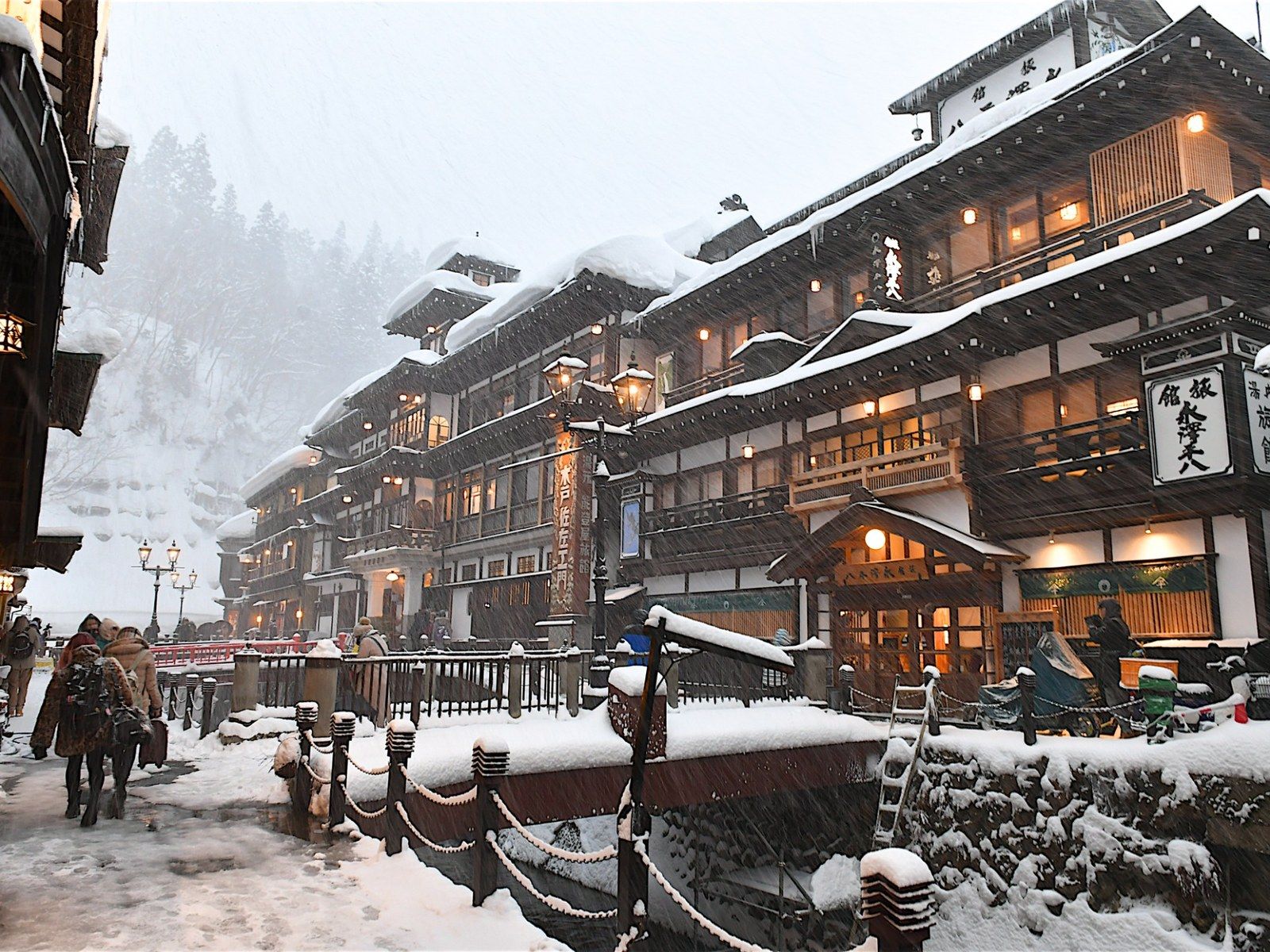 雪のように白く咲く日本一のかすみ草 ここにも ふくしま。＃2 | 朝日