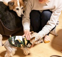 Sさん、先住犬に見守れながら楽しい時間を過ごしました