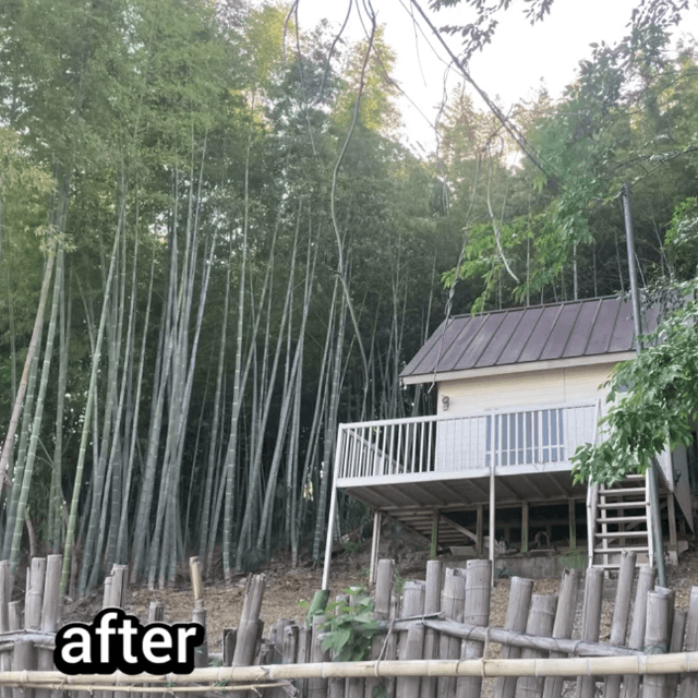 【アフター写真】（画像提供：梅鉢TMC)
