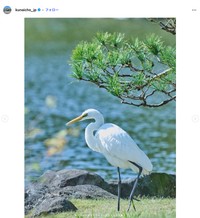 宮内庁インスタグラムから