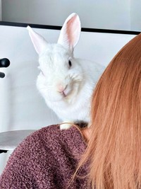 飼い主さんの肩に登ったアイスくん（画像提供：アイス 主：みみさん）